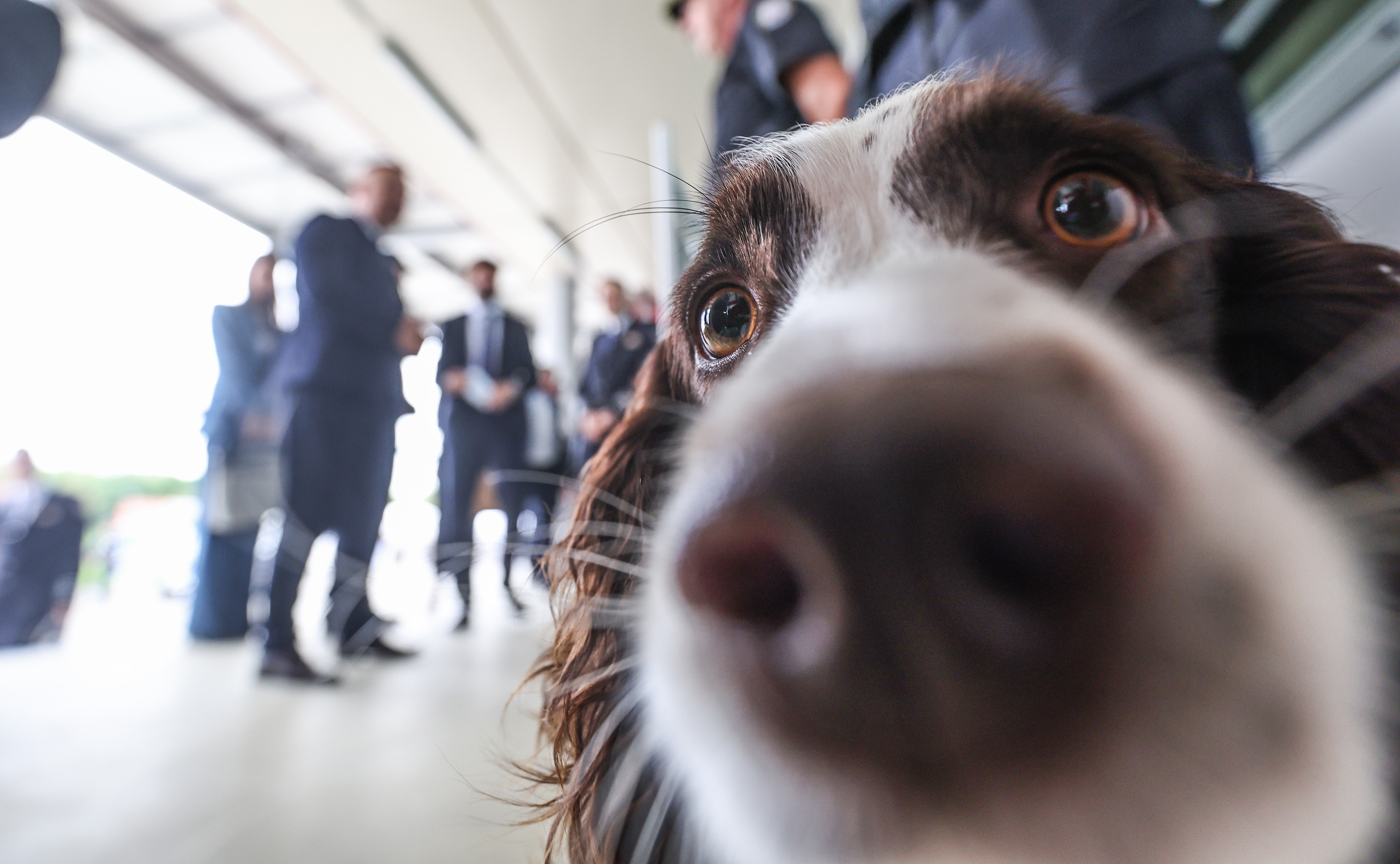 PXL_210926_159096321