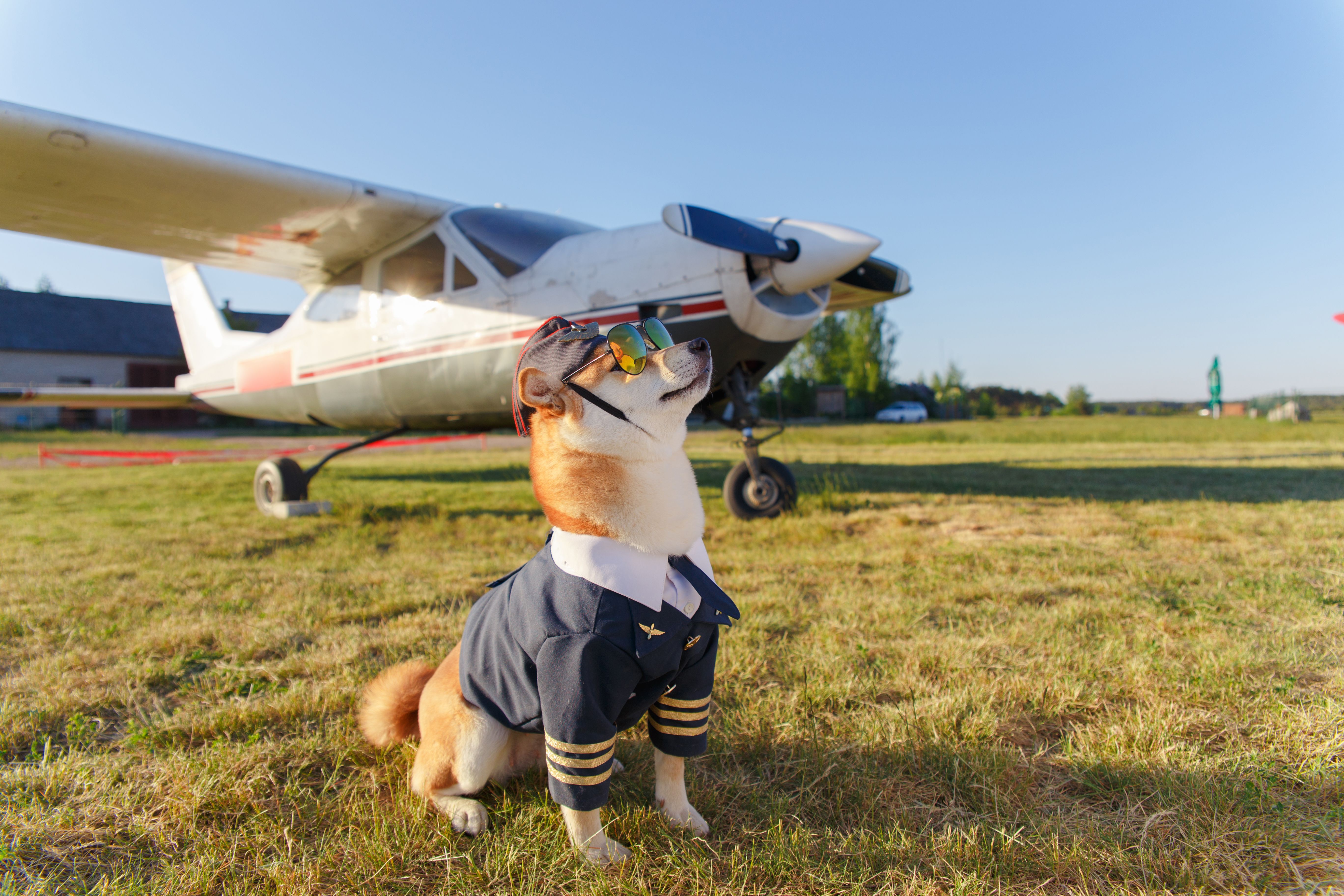 Pas avion PEXELS