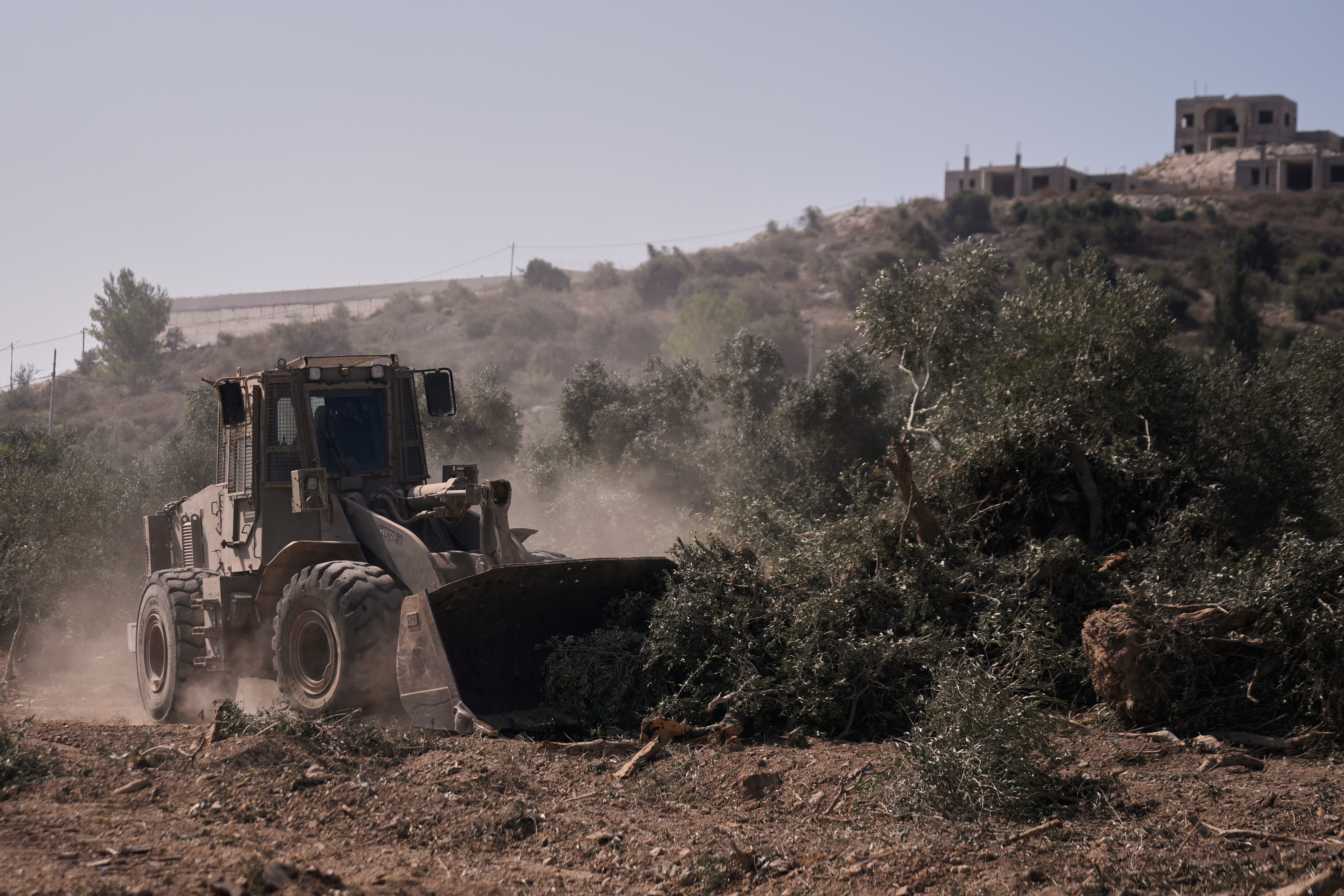 An Israeli military bulldozer uproots olive trees on a Palestinian farm area in the village of Arraba, near the West Bank city of Jenin, Wednesday, Sept. 2, 2026.