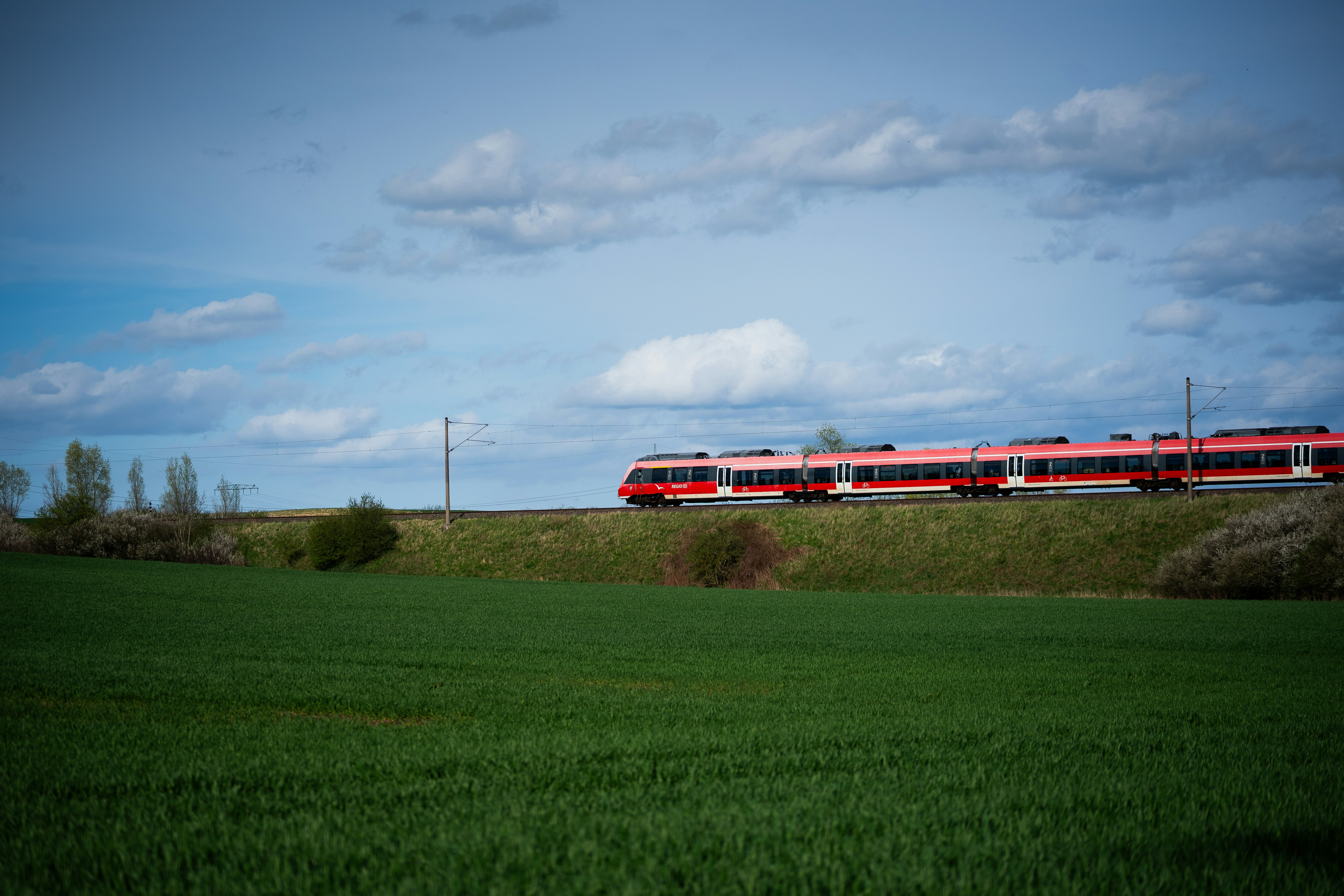nico-ruge-WCZrS4fSlQA-unsplash