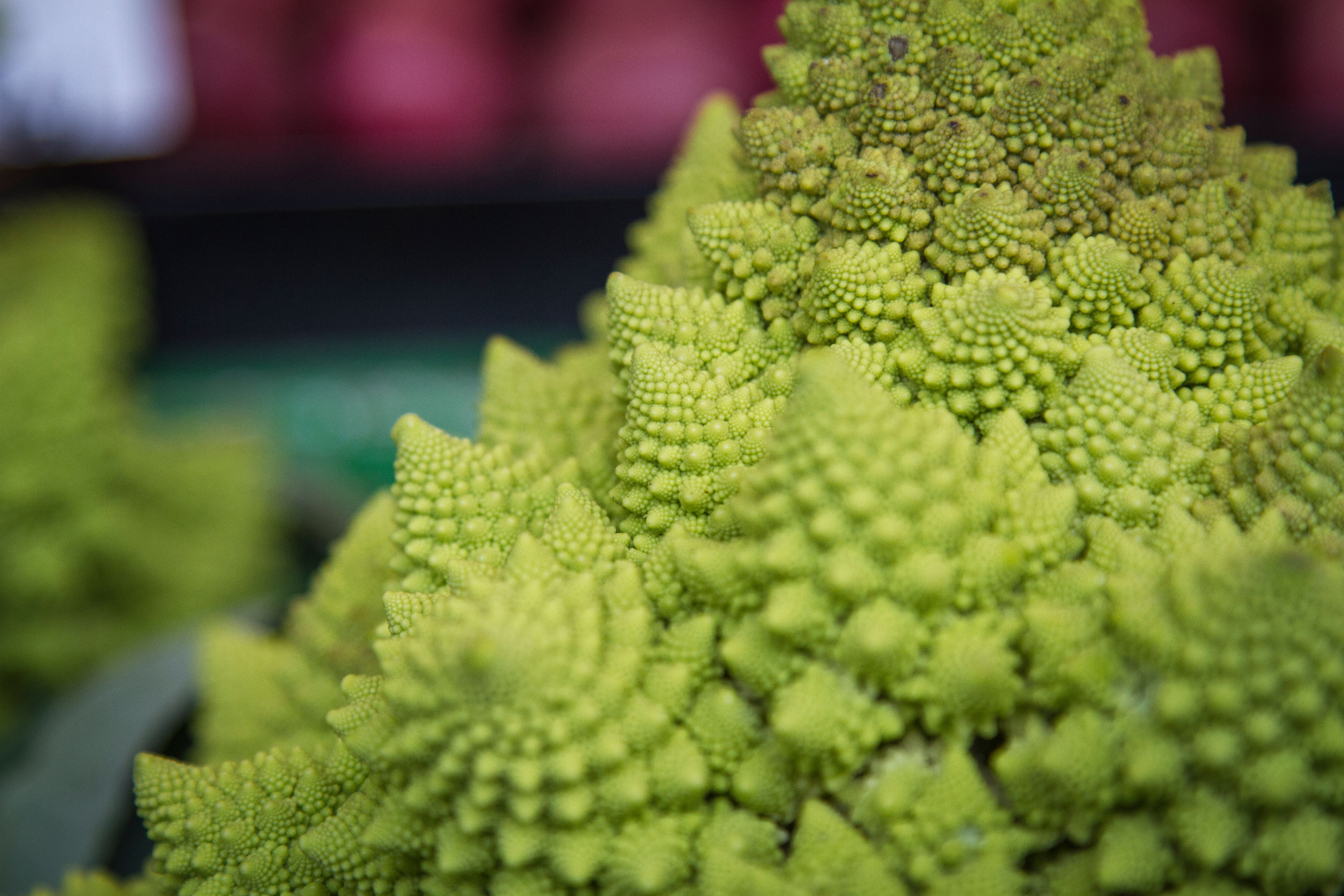 Romanesco brokula
