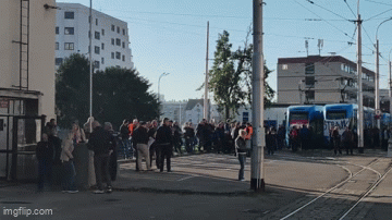 GIF N1
