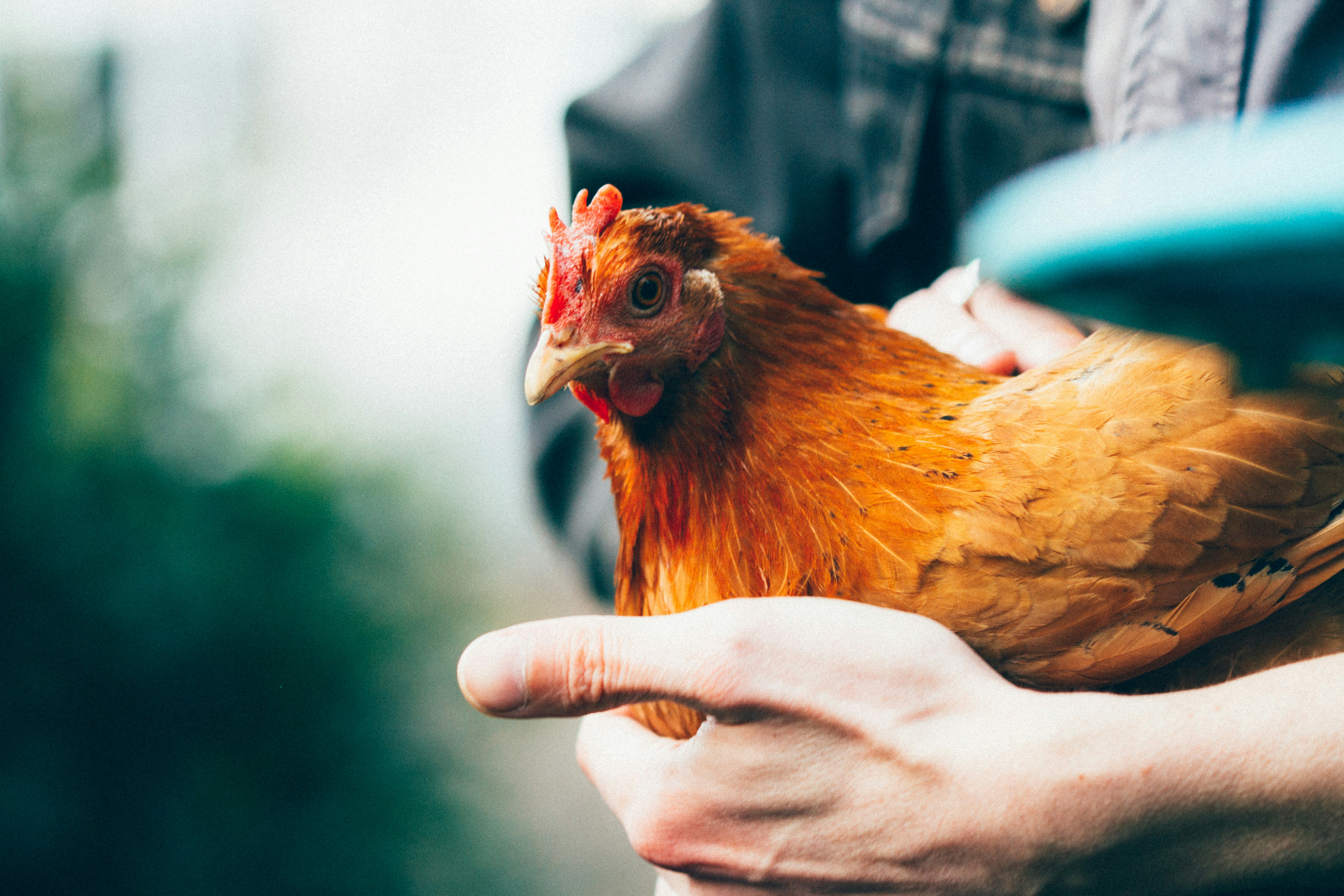 sarah-halliday-EyJjK9_g9Ic-unsplash