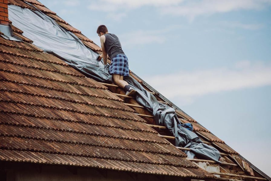 232848287_510129413396494_494084248367514832_n