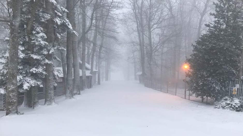 23434746_1596103550450324_6930545026607318562_n