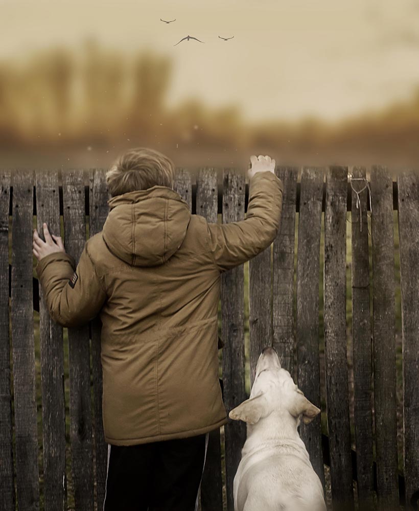 24763094061_5f23bbe0e6_k