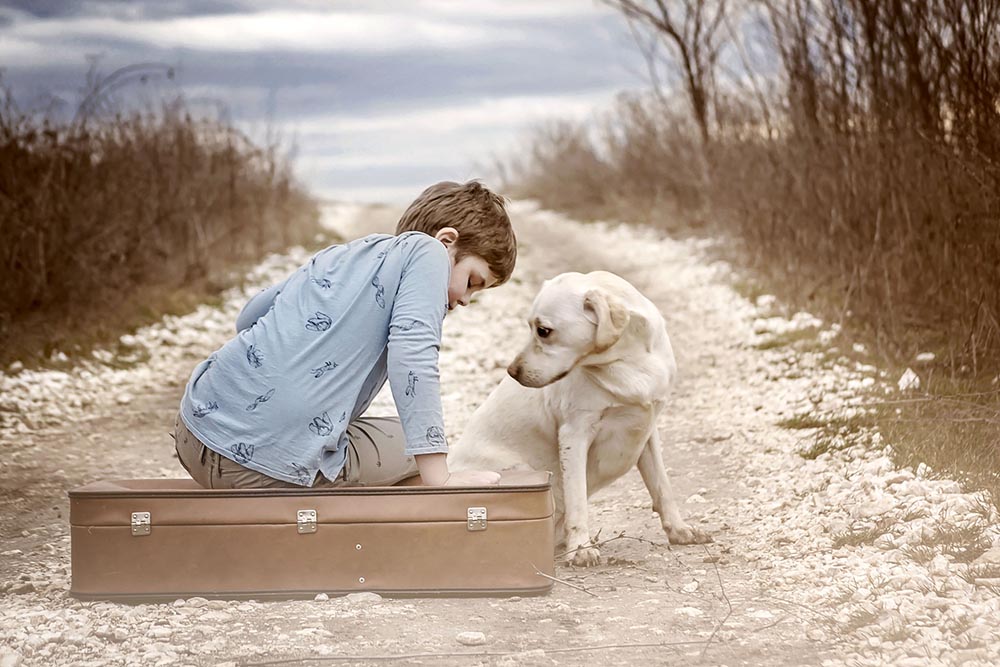 Jelena Simić Petrović