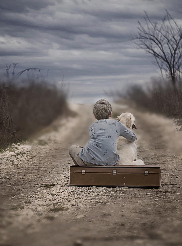 Jelena Simić Petrović