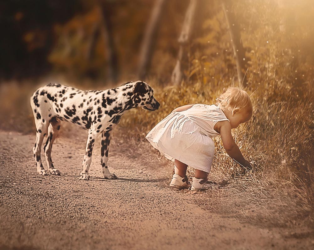 Jelena Simić Petrović