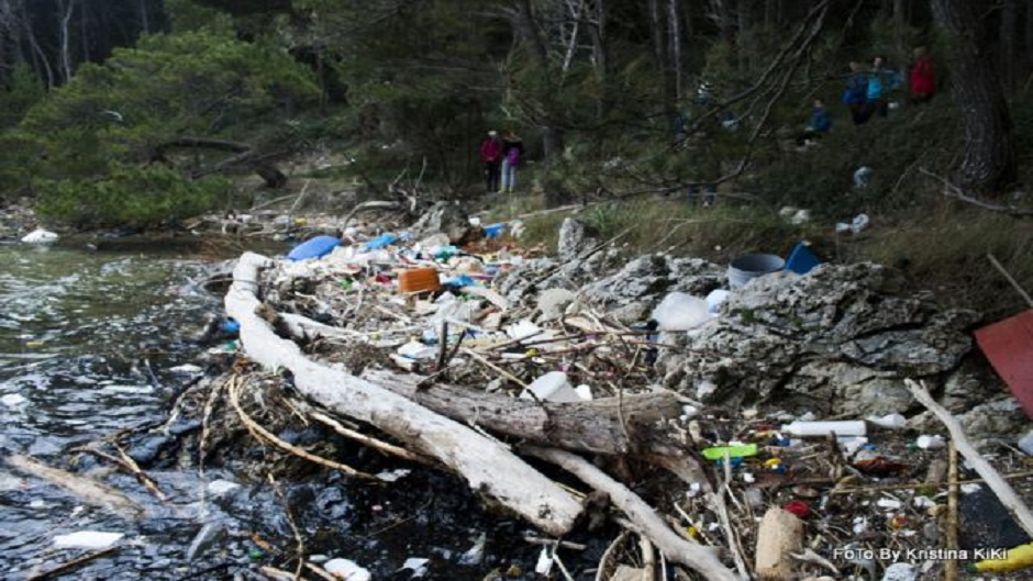 288velika_14277837407