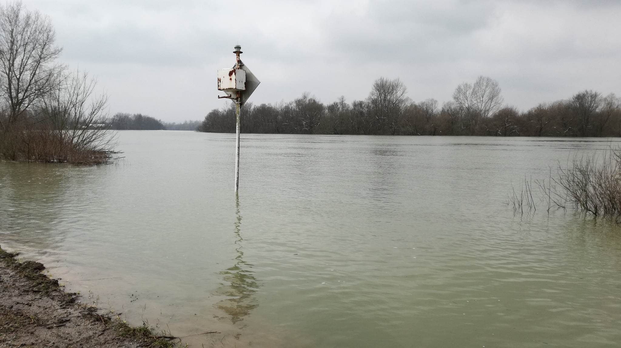 29541665_1966900663382425_6232491867166998528_o