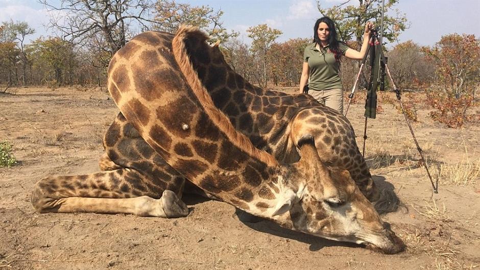 2B07140400000578-3182671-image-a-69_1438487604589