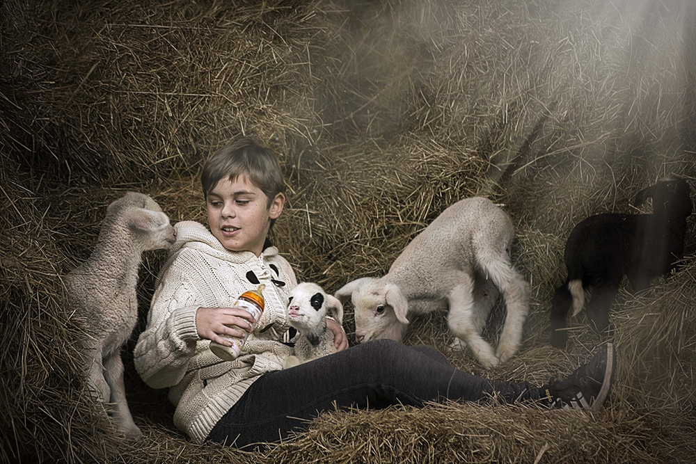 Jelena Simić Petrović