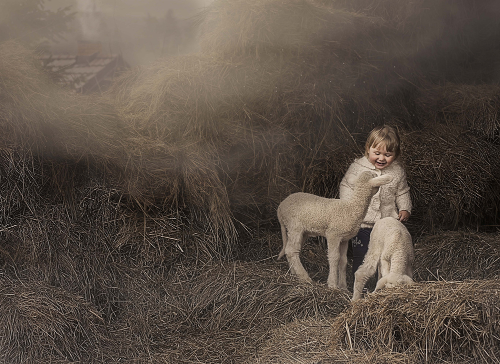 Jelena Simić Petrović