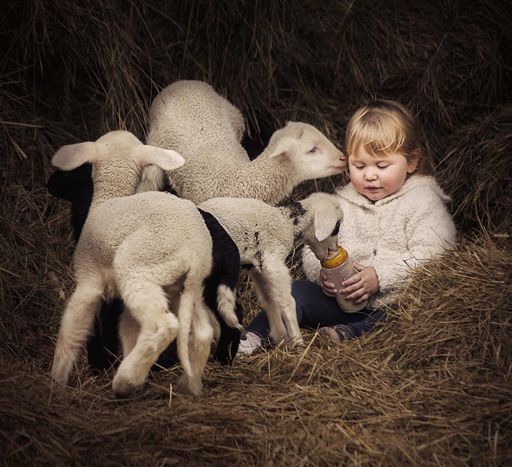 Jelena Simić Petrović