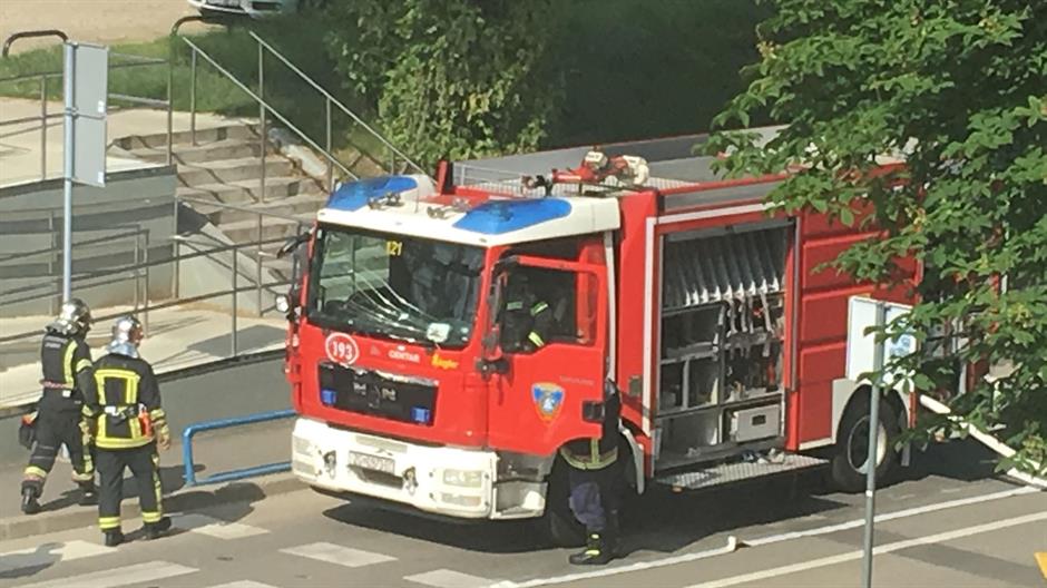 33340648_10215255323113829_8501063777251229696_n