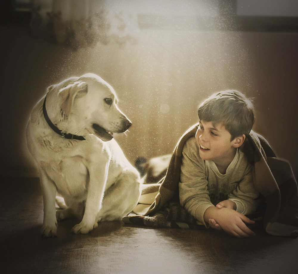 Jelena Simić Petrović