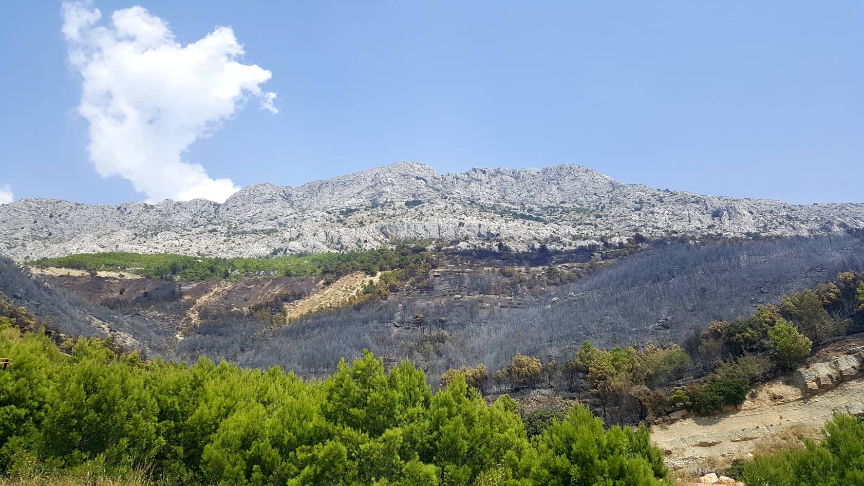 38997046_278307922756179_7597477725611229184_n