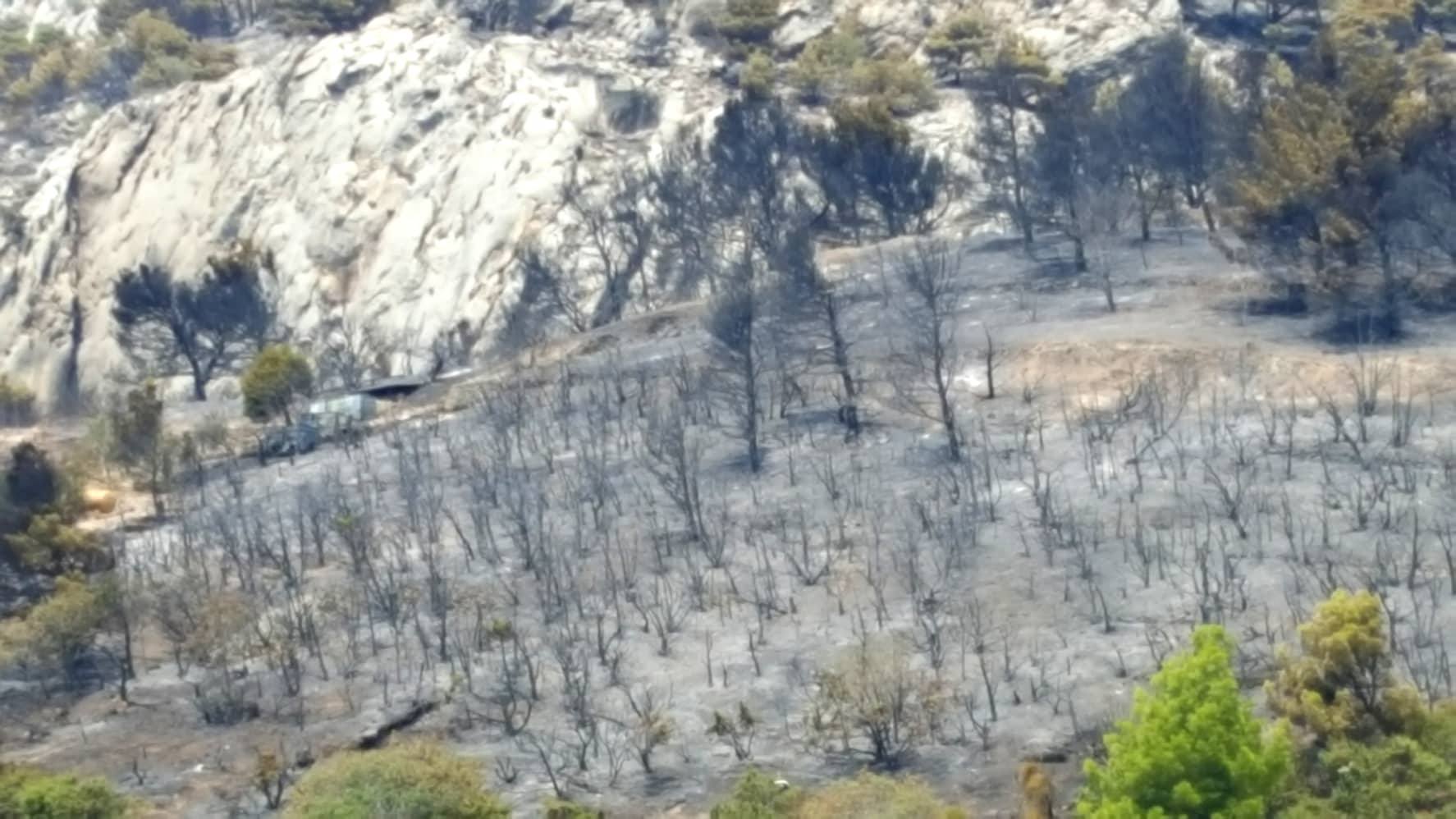 39014997_304715703633912_8357481573141970944_n