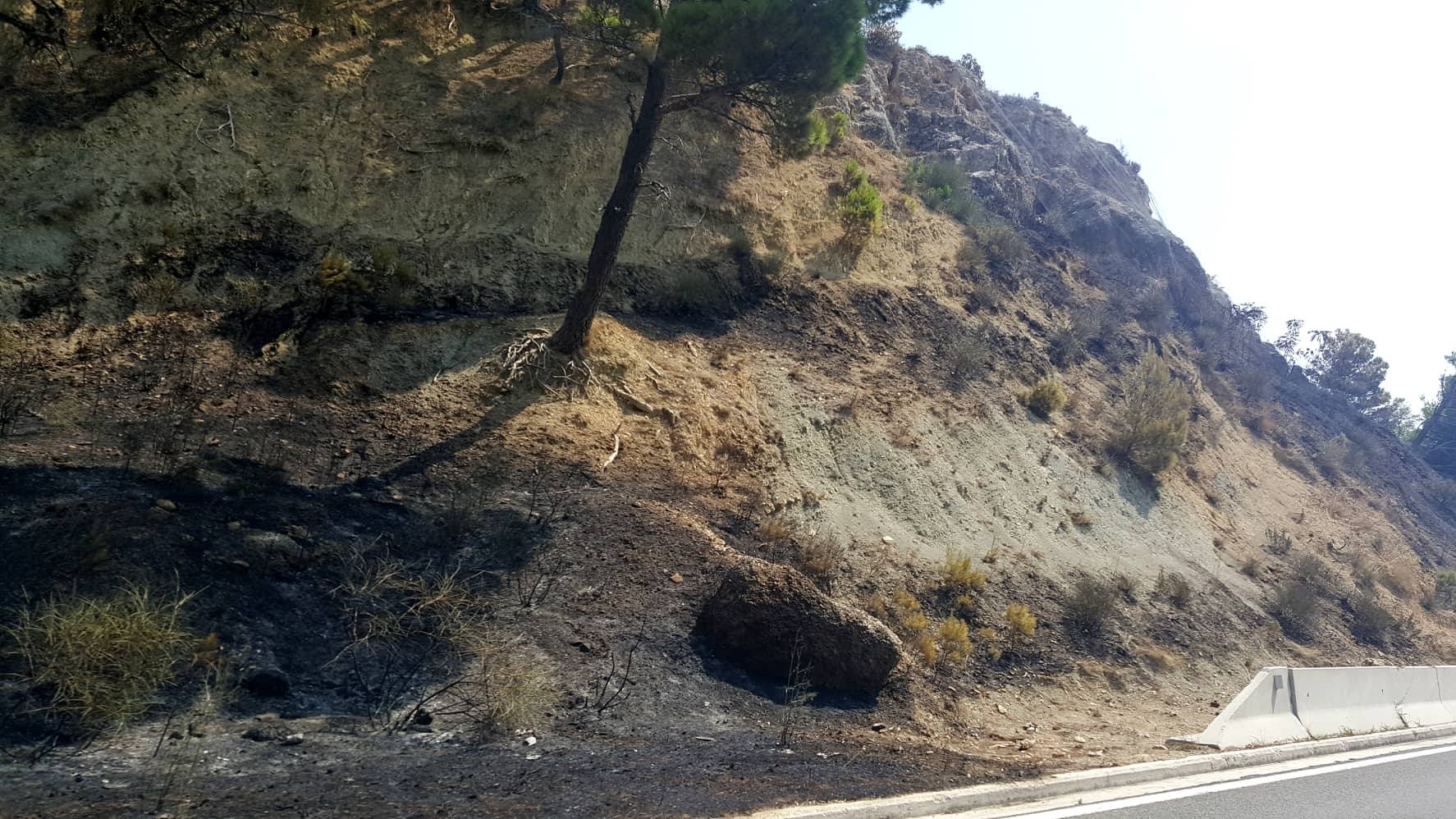 39082162_2144029919256265_3750683936167034880_n