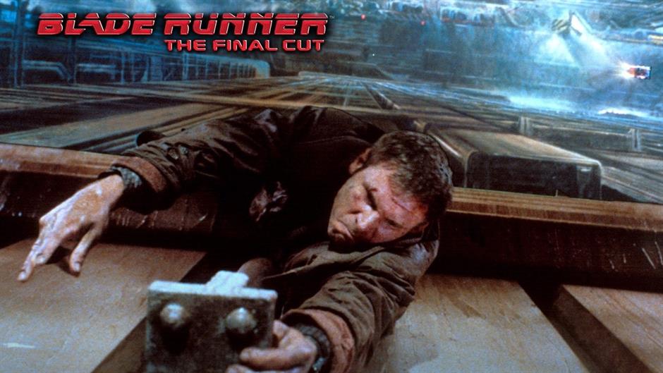 412558_183058958475906_196833477_o