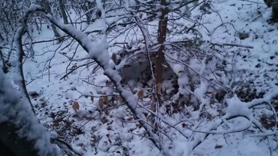 52038481_2205151873136777_7377517087285051392_n