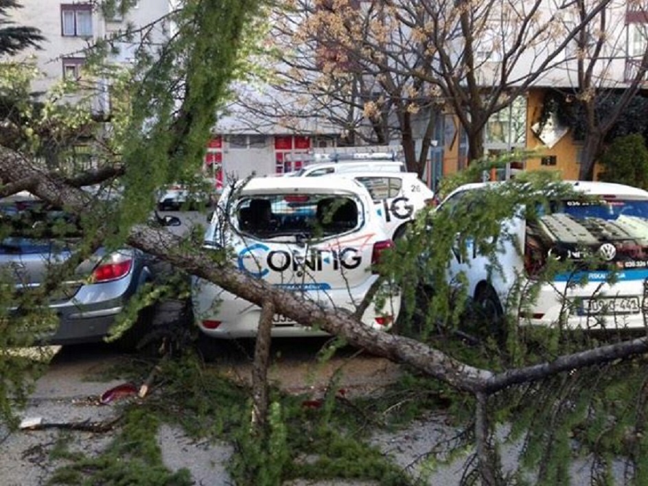 53065706_216775045856092_3720486978886565888_n