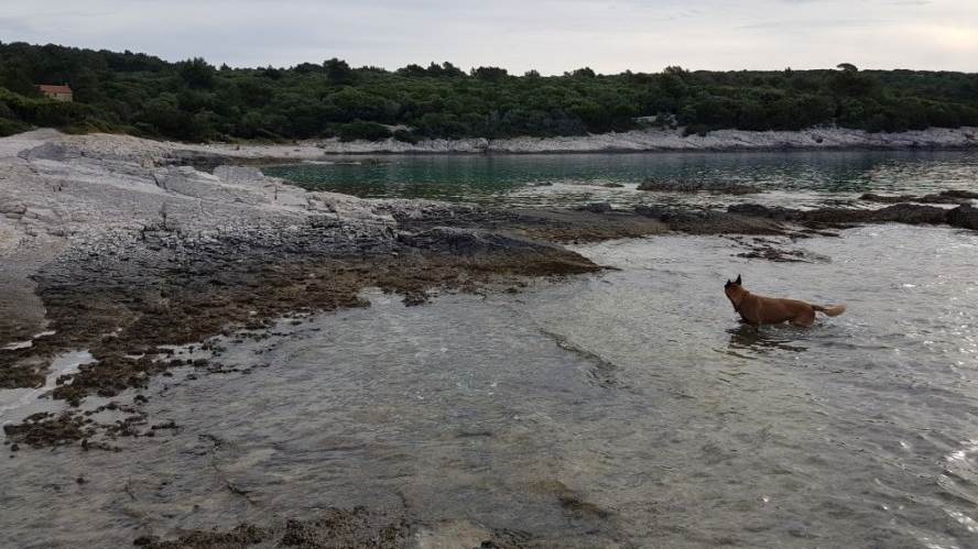 65077019_2023326887777566_6134485364921860096_n