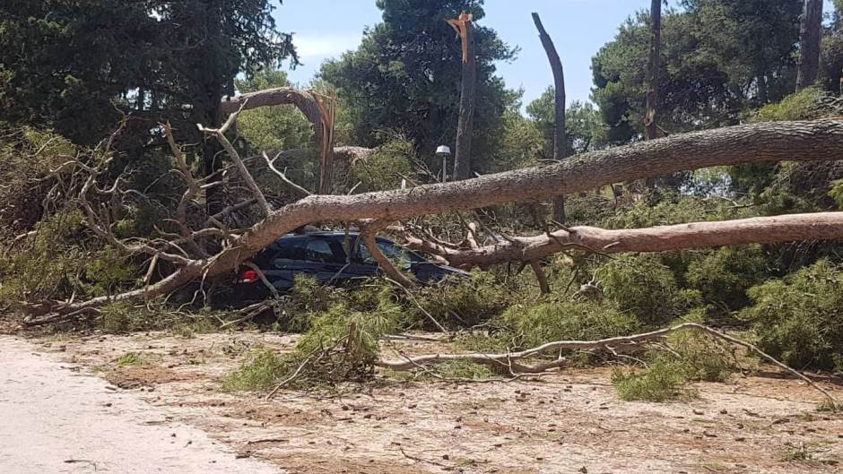 66031090_1140865999439412_2680793117283581952_n