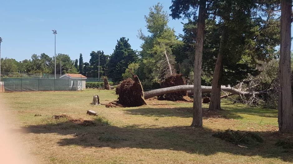 66256146_1235271606634359_7343811253392900096_n