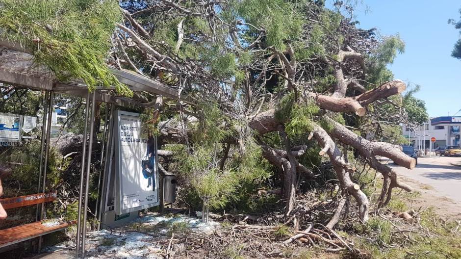 66351817_623964938100502_6576107233875066880_n