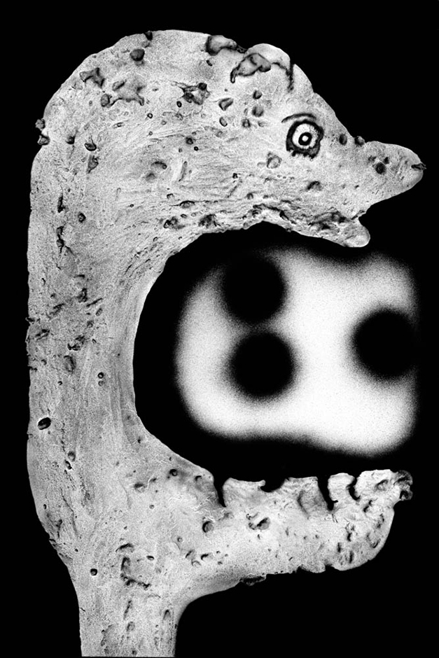 6b9f71d783e6c1aa5307d37079d550f1