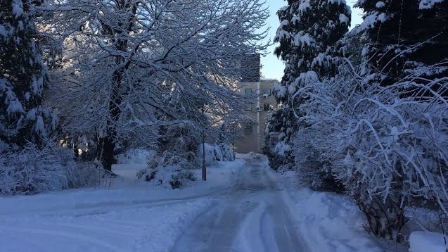 snijeg, zima, hladnoća