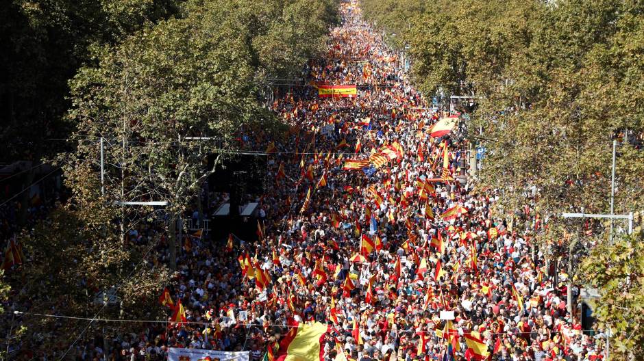 74323568_428213004564610_6586445263106211840_n