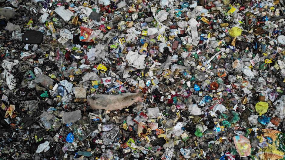 78265724_460719027972048_4733903229845241856_n