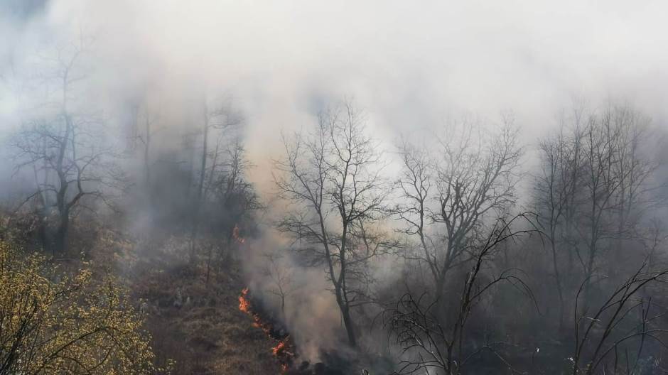 92212849_1100298073669374_7384780293594415104_n