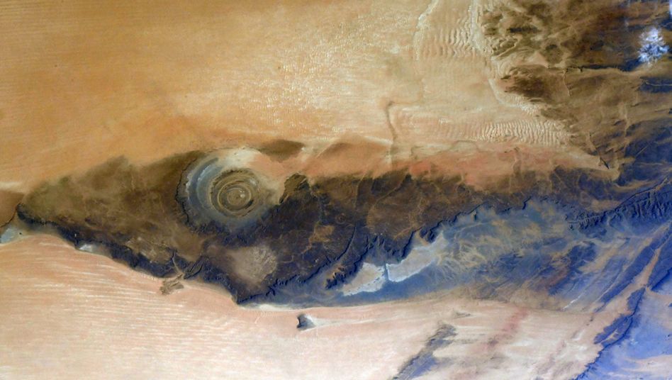 92e1328d-80d7-4af7-b38b-dc4289c9b7e1_w948_r1.77_fpx36_fpy58