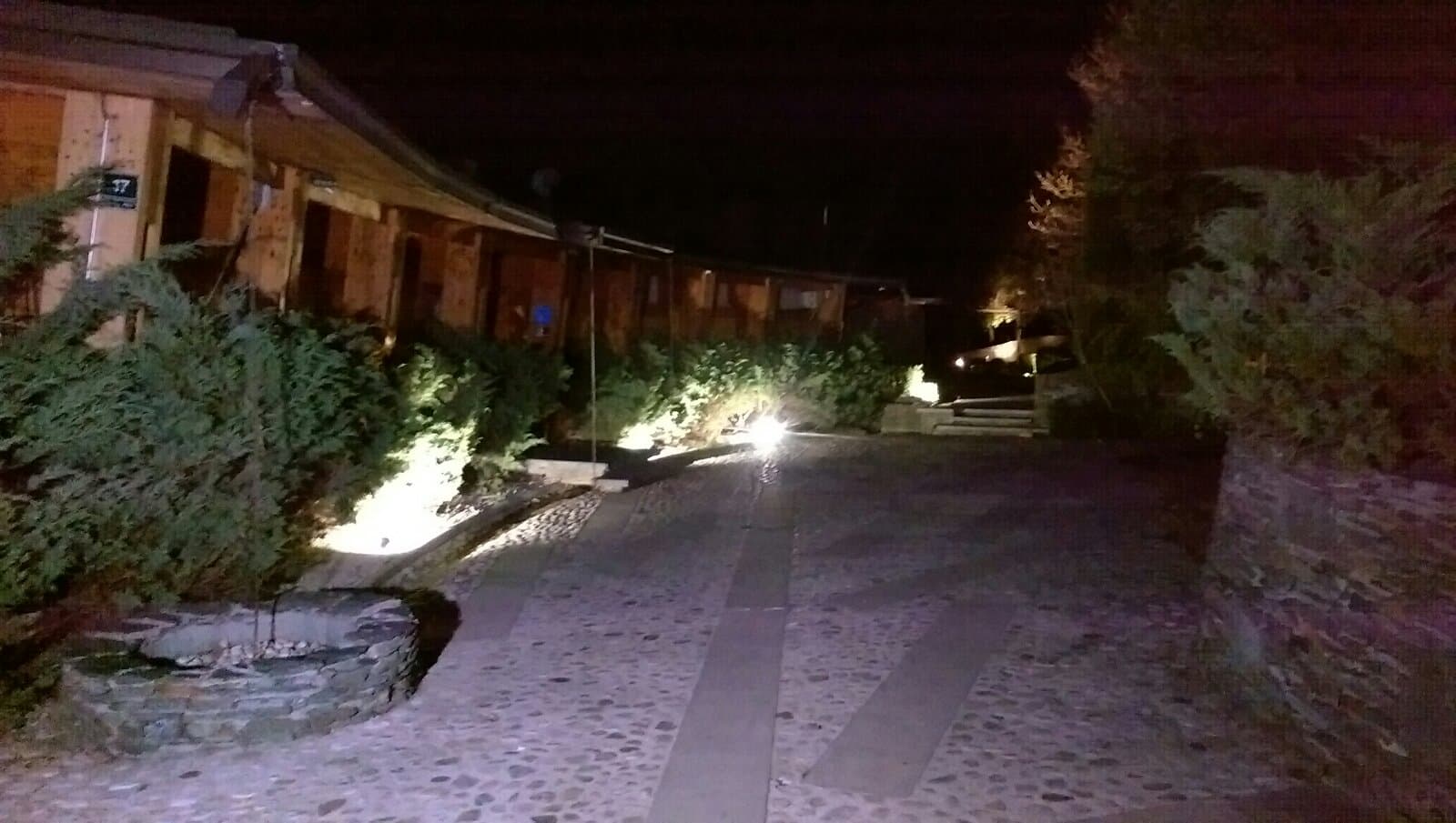 94312946_250924099648848_6224426605779877888_n