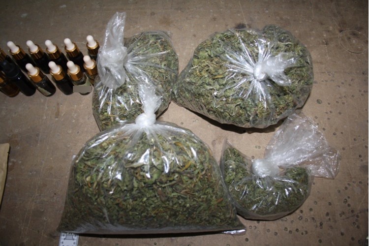 puz, zapljena marihuane