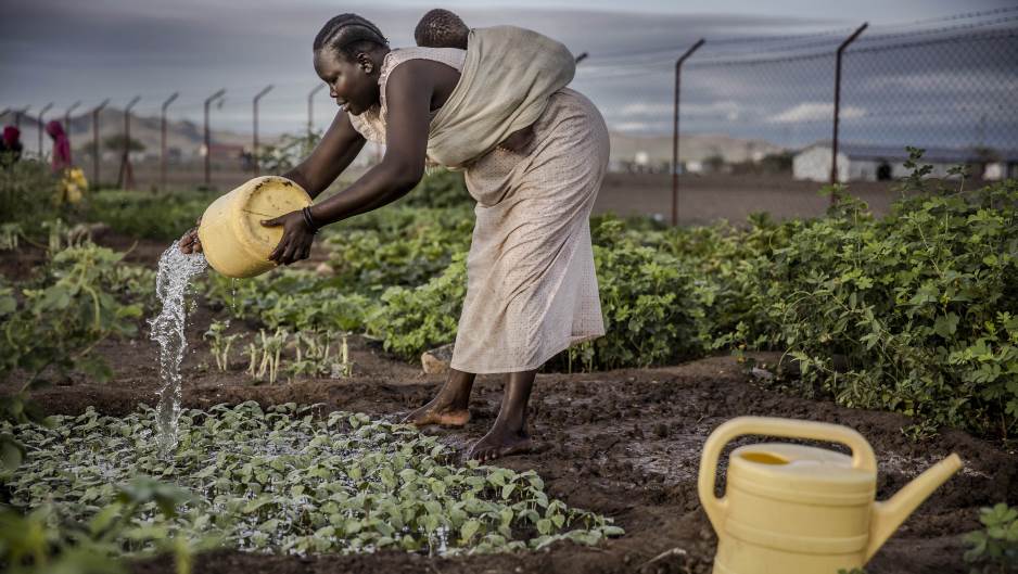 Klimatske izbjeglice, globalno zagrijavanje, zatopljenje, klima, afrika, siromaštvo