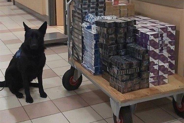 cigarete, krijumčarenje, policija