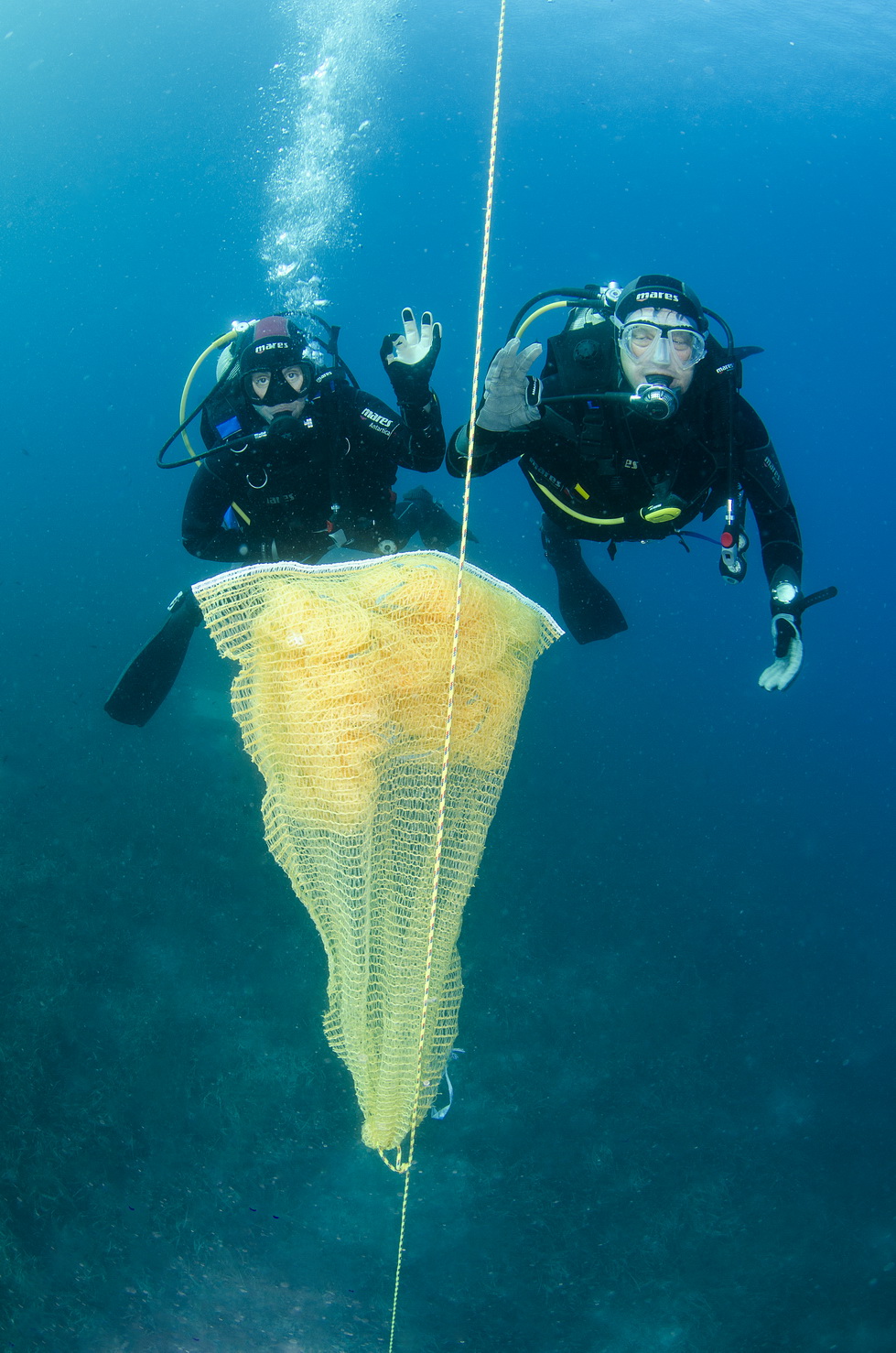 Otkrivanje žive periske (fotograf Goran Butajla)_3