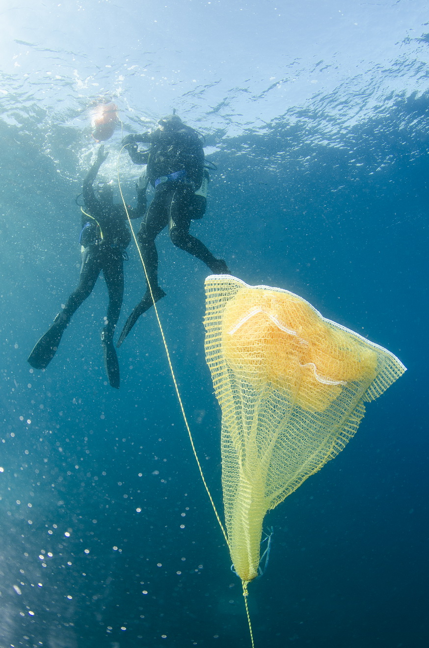 Otkrivanje žive periske (fotograf Goran Butajla)_4