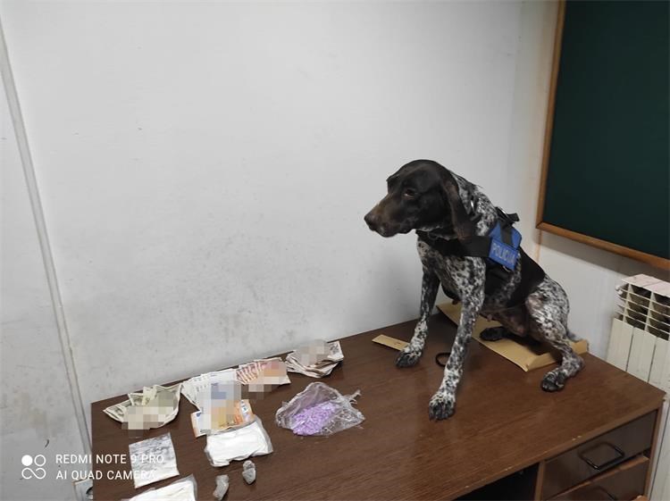 pas, policija, policijski pas, droga, oružje PAS ZA DETEKCIJU DROGA