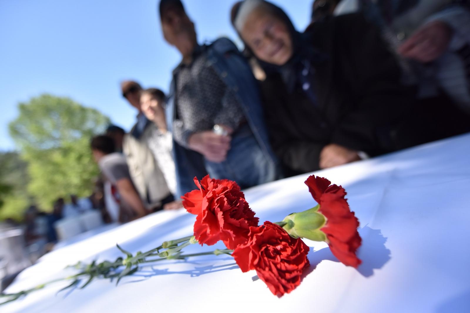 dan žena, karanfili, žene