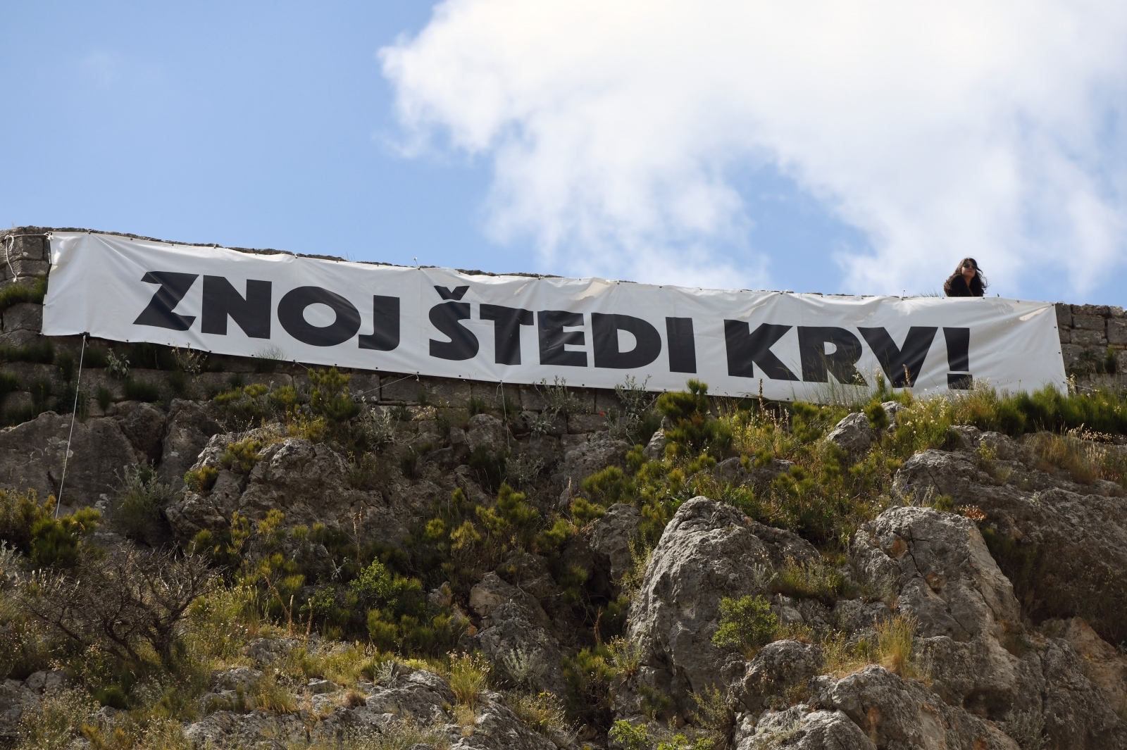 Hrvoje Jelavic/PIXSELL