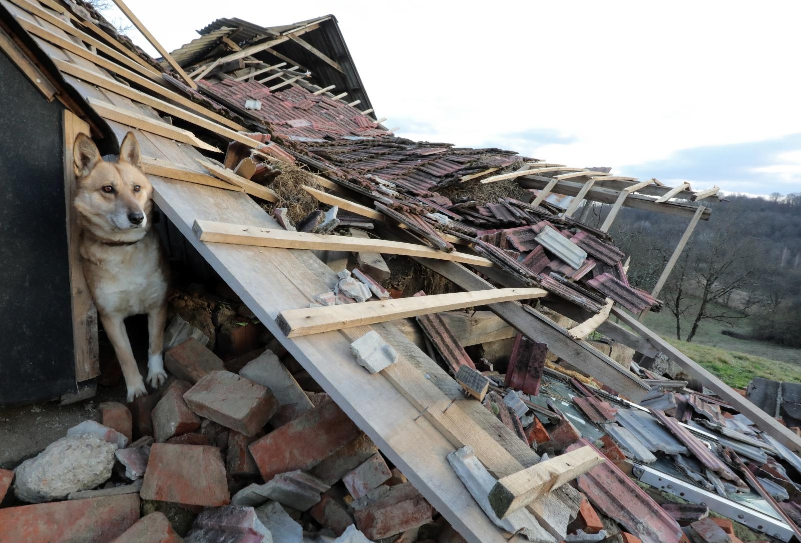 pas, ruševine, potres, novo selo glinsko