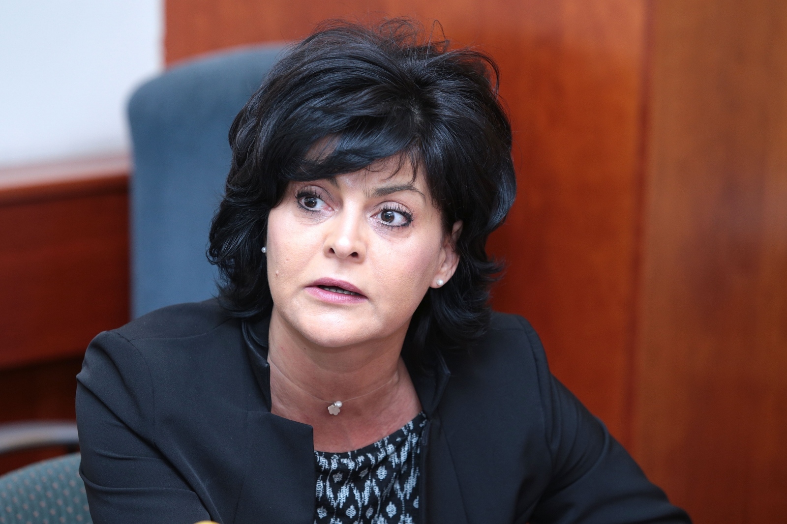 branka gabriela vojvodić