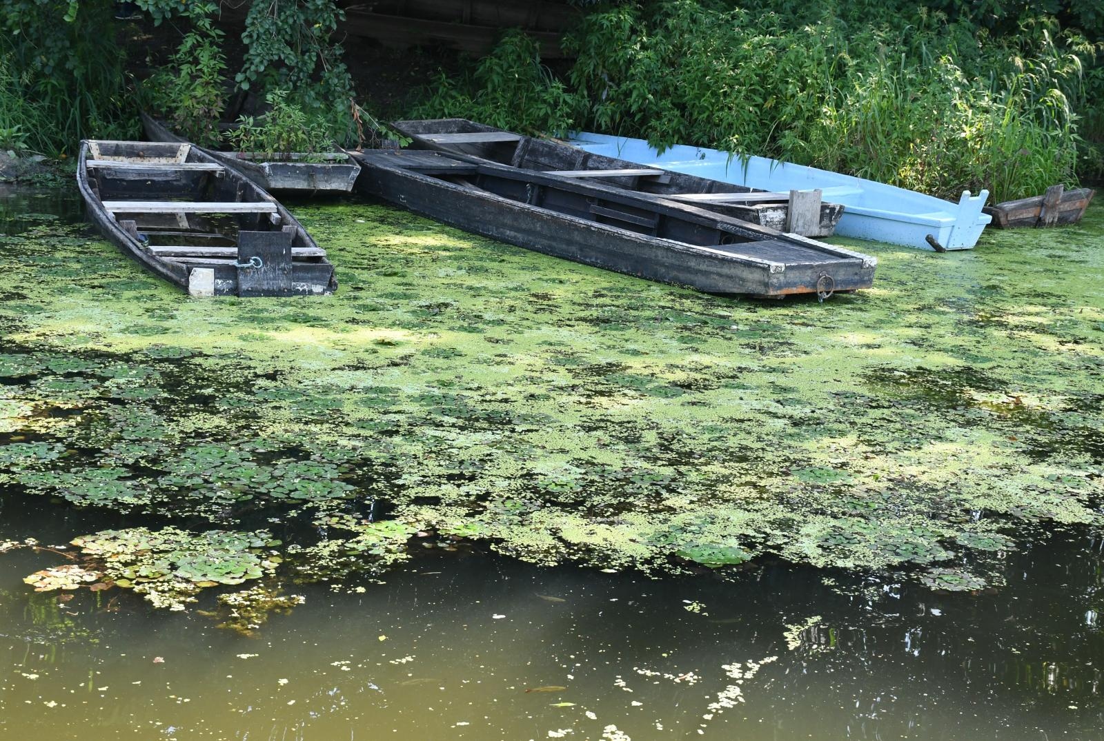 lonjsko polje, park prirode, čamac