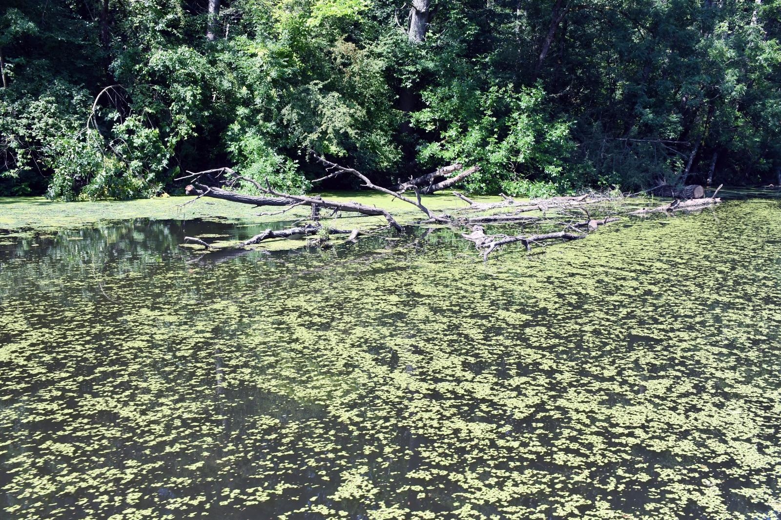 Plesmo: Otvorenje turističkog pristaništa Strug te na prva vožnja čamcima na solarni pogon